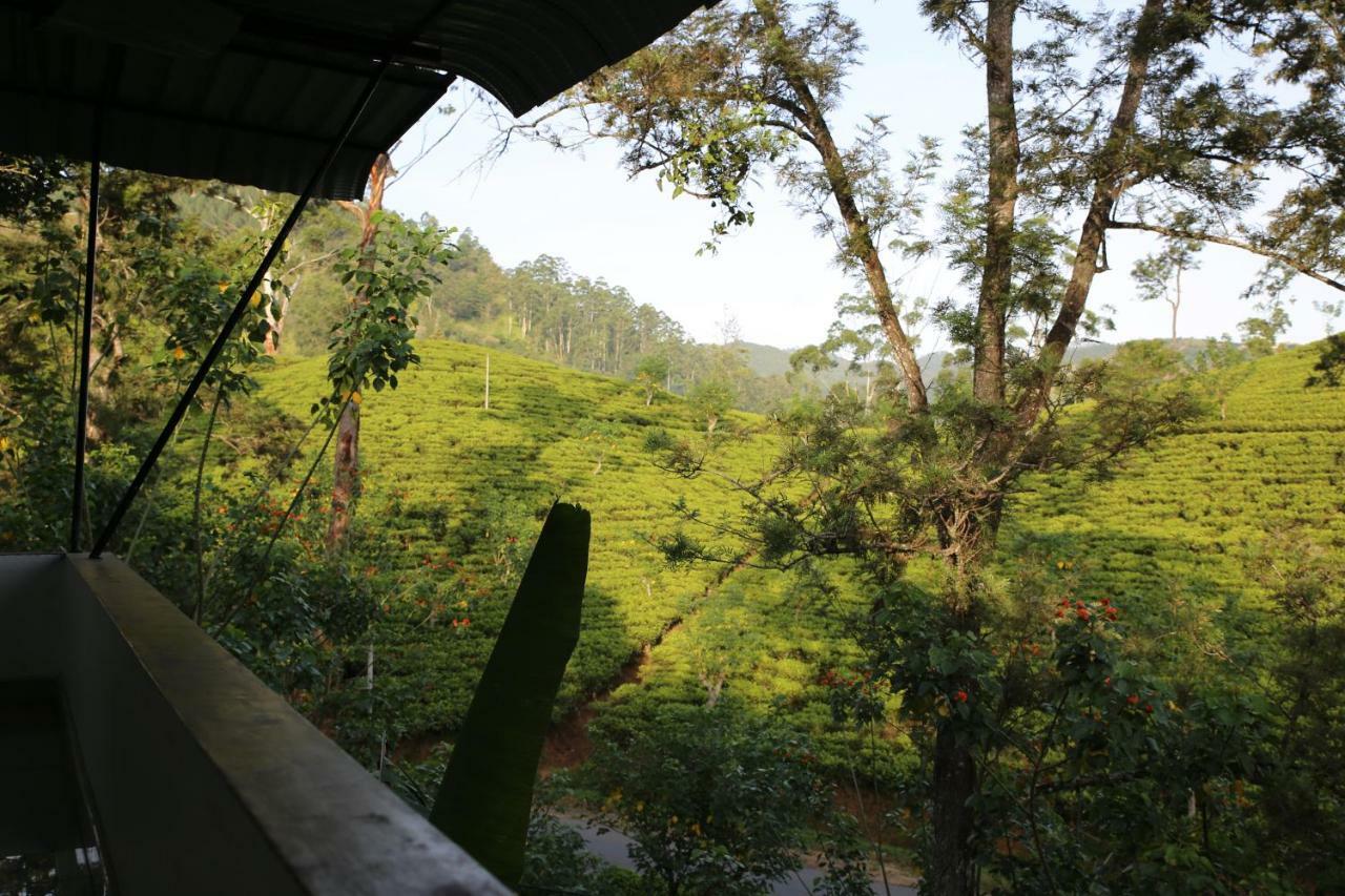 The Tea View Guest Ella Hotel Exterior photo